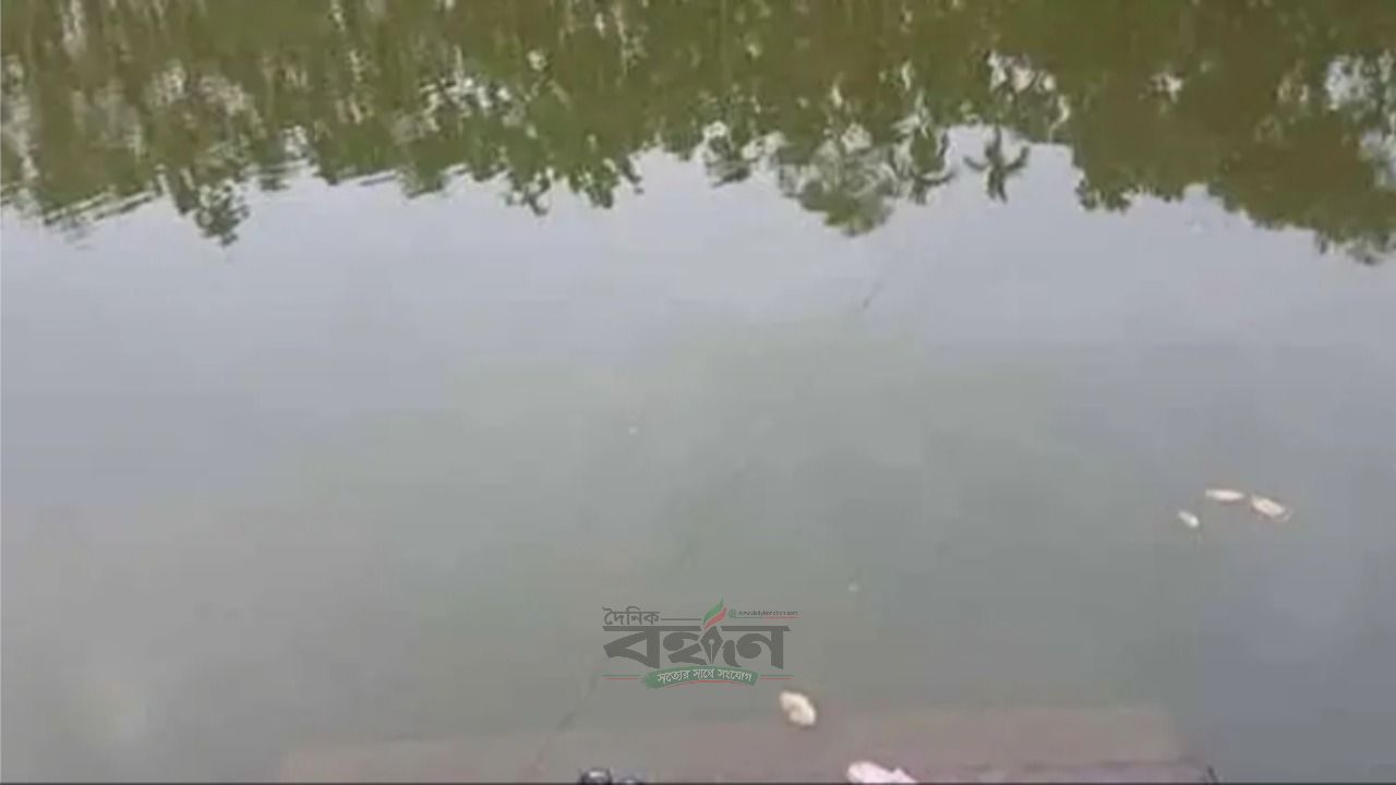ব্রাহ্মণবাড়িয়ায় পুকুরের পানিতে ডুবে যমজ ভাইয়ের মৃত্যু