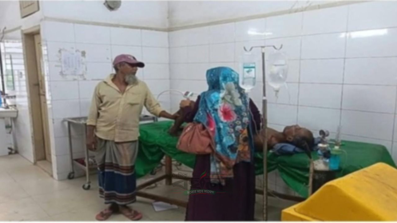 লোহাগড়ায় নিয়ন্ত্রণ হারিয়ে ইজিবাইক উল্টে যাত্রী নিহত